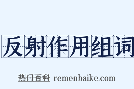 反射作用组词是什么意思的图片